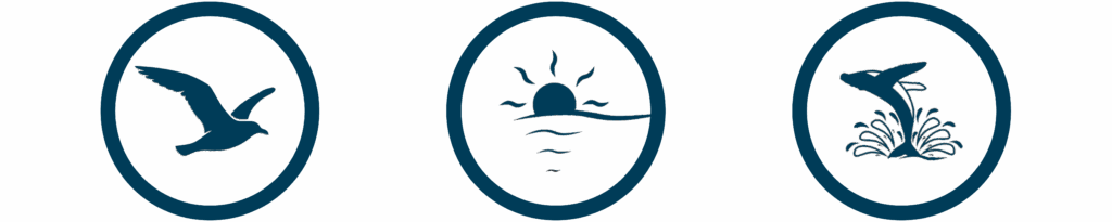 Property management and cleaning services in Provincetown – turnover and deep cleaning